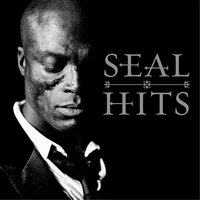 I Can't Stand the Rain - Seal