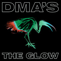 Appointment - DMA's