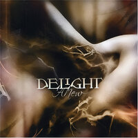 More - Delight
