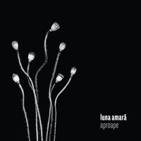 Aproape - Luna Amara