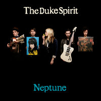 Lassoo - The Duke Spirit