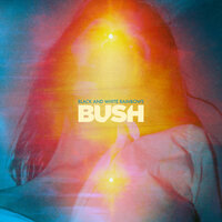 Water - Bush