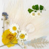 DARLING - Taeyang