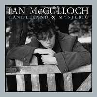 Damnation - Ian Mcculloch