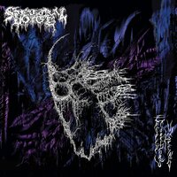 Dissolution - Spectral Voice