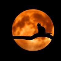 Relaxation - Meditation Awareness, Spa Relaxation, Meditation Rain Sounds