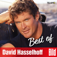 Summer in the City - David Hasselhoff