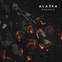 Blossom - ALAZKA