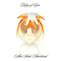 King of the Rodeo - Kings Of Leon