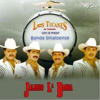 El Mayor - Los Tucanes De Tijuana