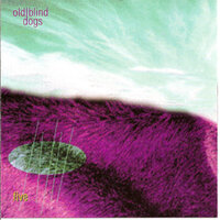 The Lowlands Of Holland - Old Blind Dogs