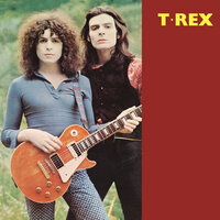 Seagull Woman - T. Rex