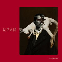 ТВОИМ - Дельфин