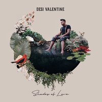 Now I See the Light - Desi Valentine