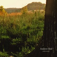 Effigy - Andrew Bird