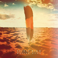 Butterfly - Xavier Rudd