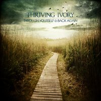Moonlight - Thriving Ivory