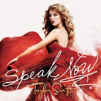 The Story Of Us - Taylor Swift
