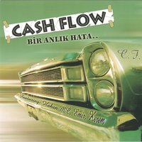 Hindu Malı - Cash Flow