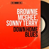 Brownie McGhee, Sonny Terry