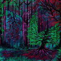 Wilderness Walk - Ashbringer