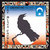 The Black Crowes